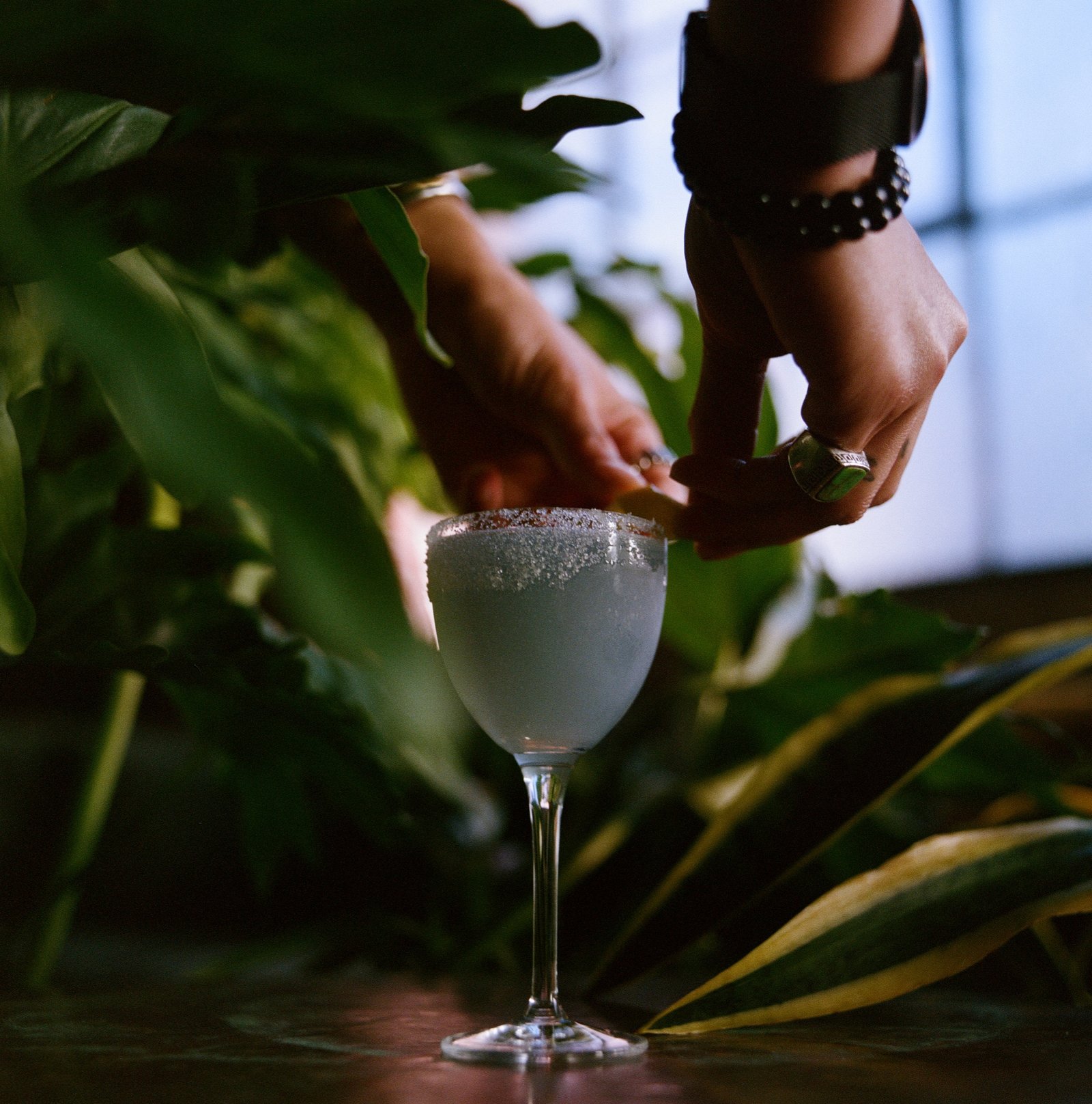 Hands setting down a salt-rimmed cocktail among the lounge greenery