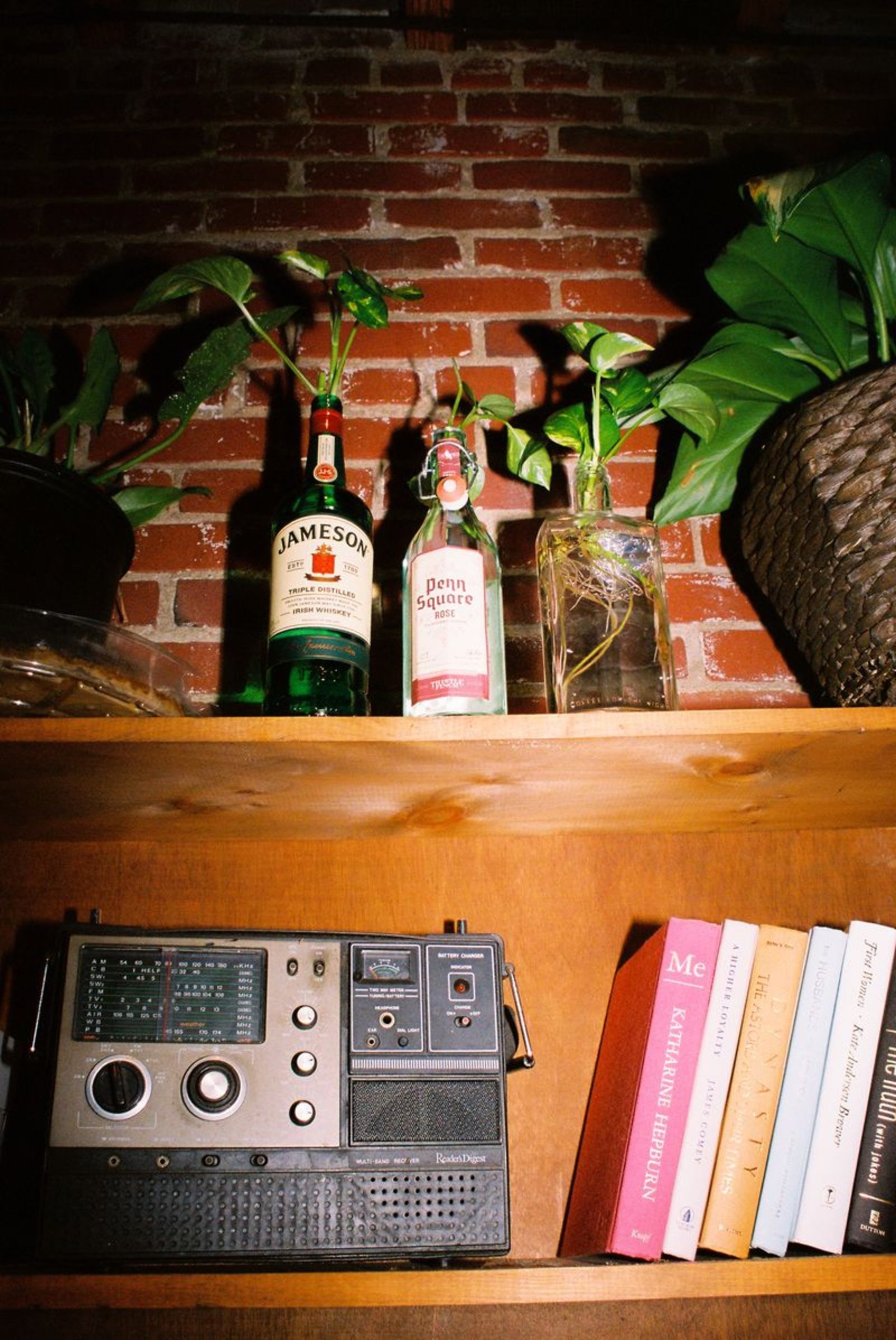 Whiskey bottles used as cuttings vases above a vintage radio and a row of books