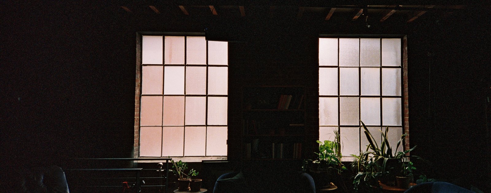 Tall gridded windows and potted plants in the quiet Margolis lounge by day