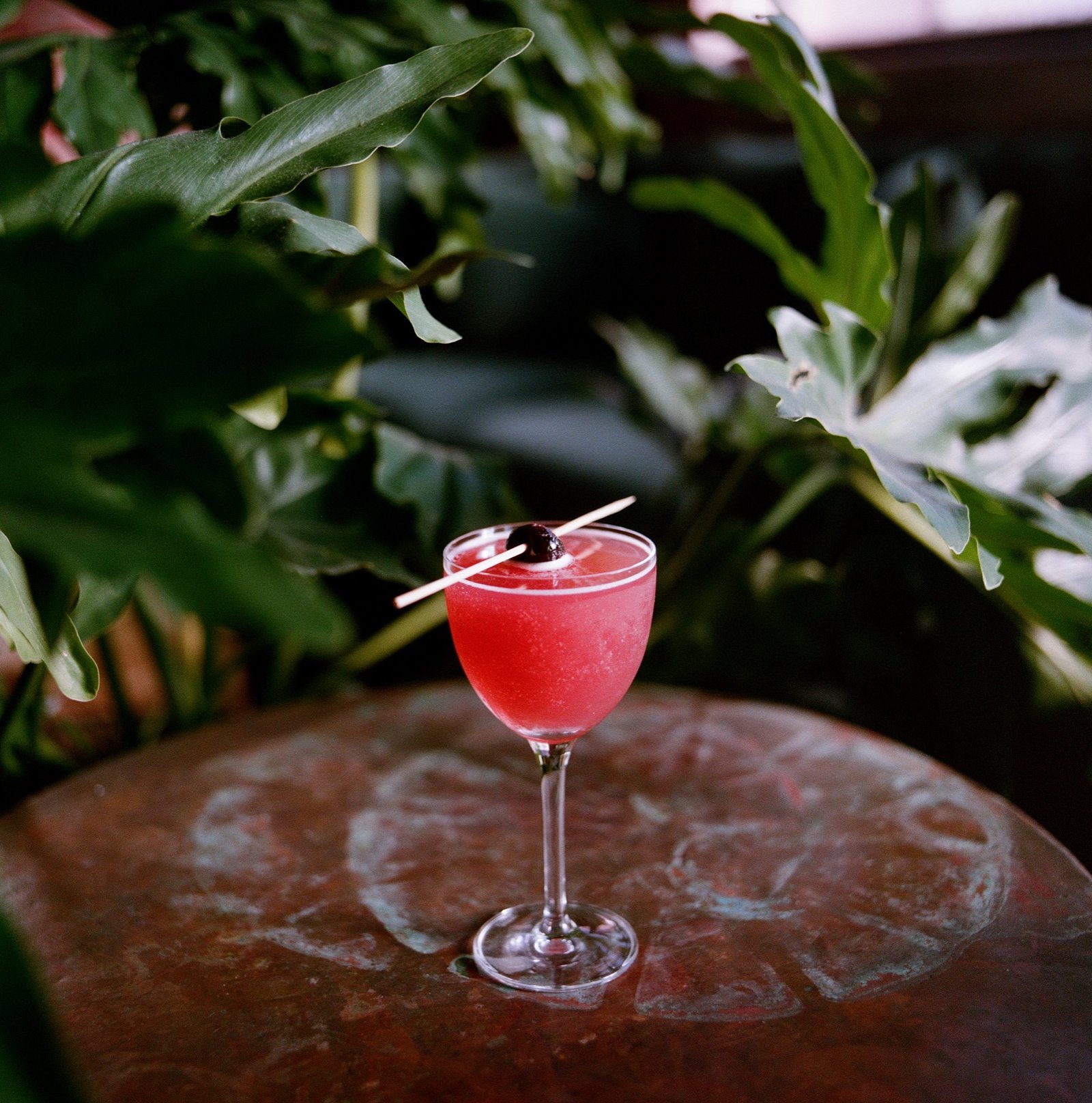 Pink cocktail with a brandied cherry on a copper table among the plants