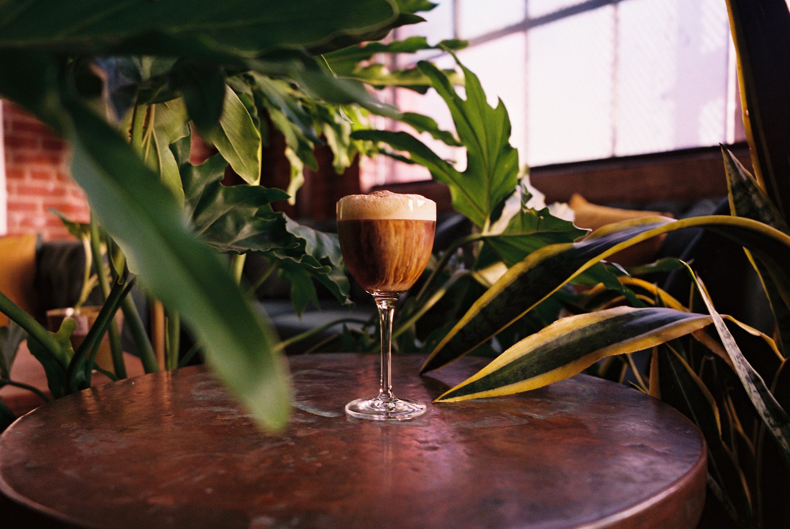 Espresso martini on a copper table among the plants at Margolis in Fishtown