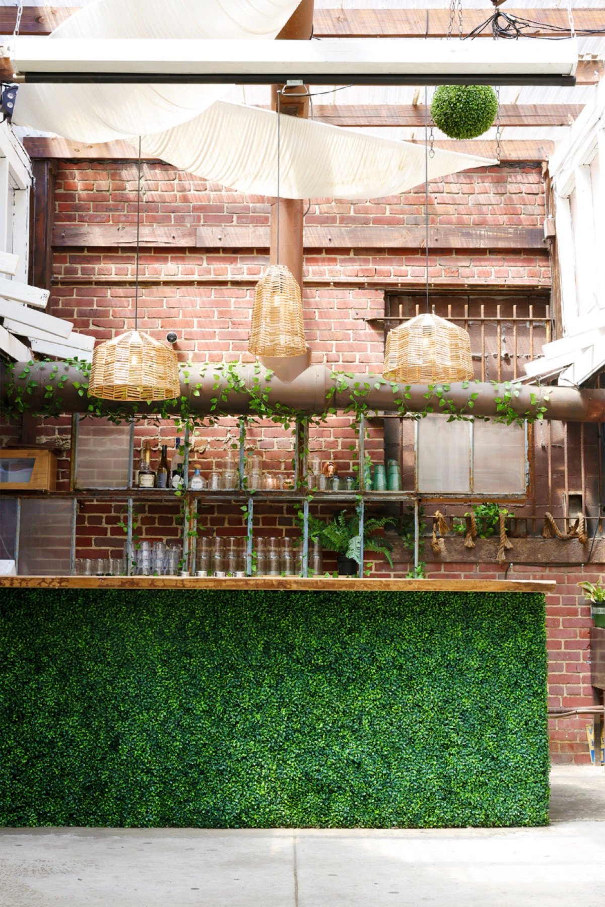 The Patio's bar with a boxwood front, rattan pendants and brick wall behind