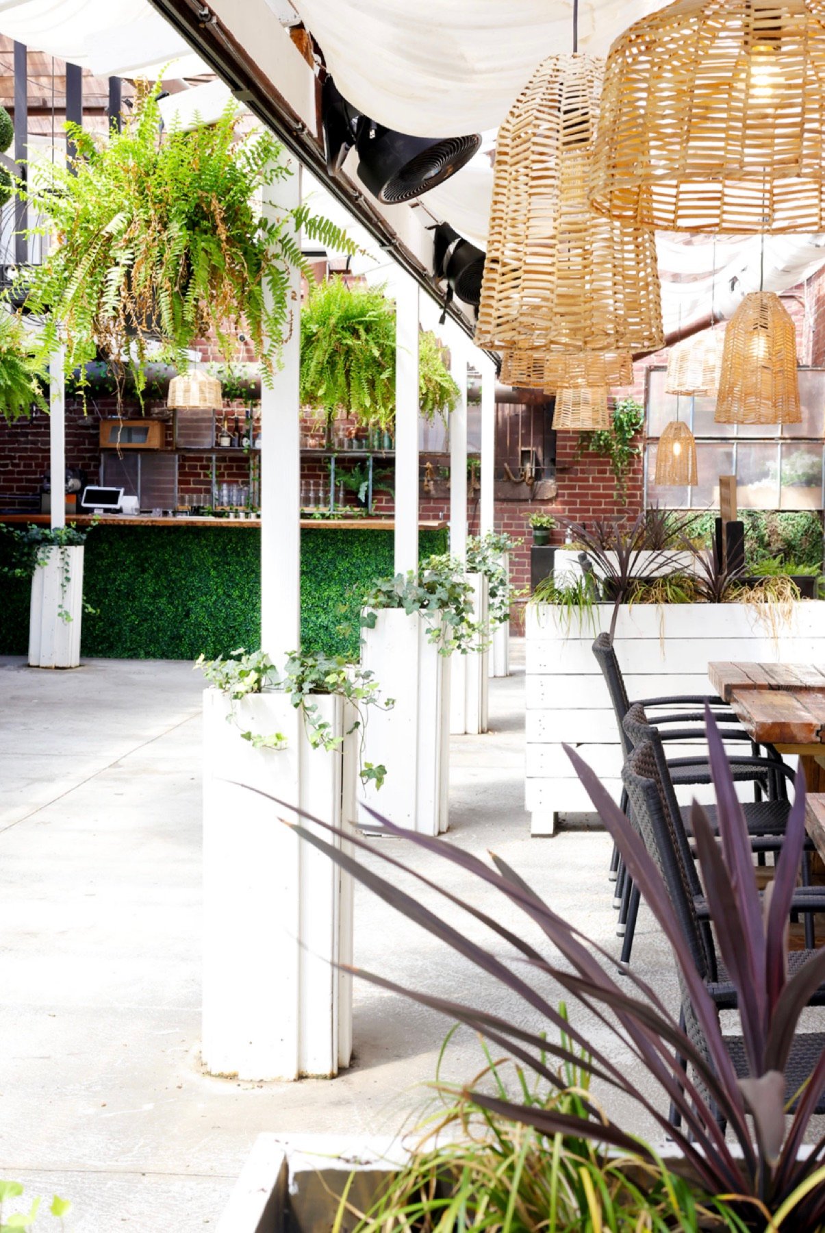 Hanging ferns and rattan pendants over white planters at The Patio at Fabrika
